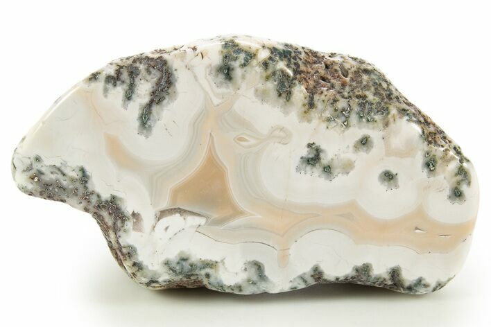 Polished Berber Agate Section - Sidi Rahal, Morocco #323996